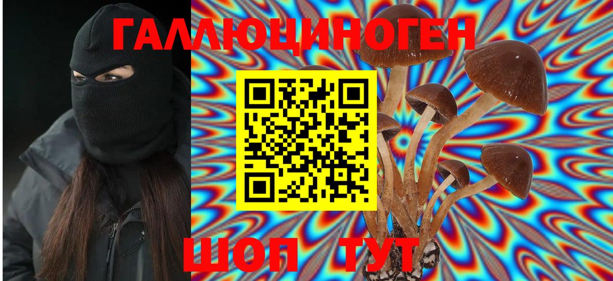 Псилоцибиновые грибы MAGIC MUSHROOMS  сколько стоит  Шебекино  Вход с VPN 