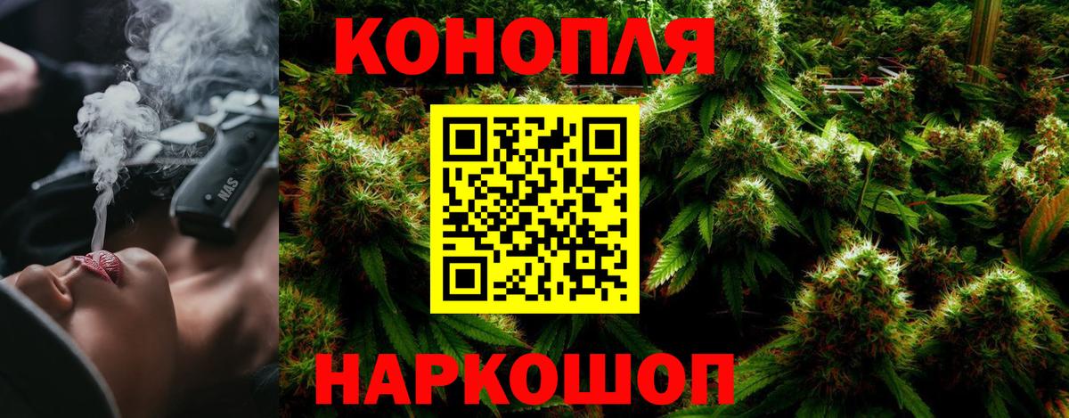 Бошки Шишки Amnesia Шебекино